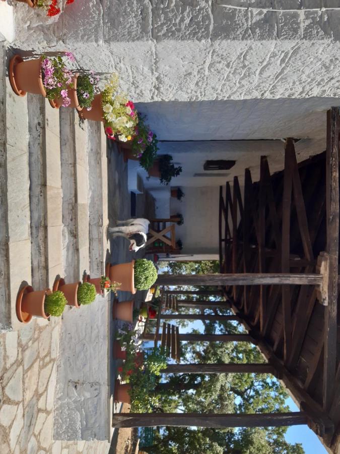 Kouros Villa! Paltsi Pilion Exterior foto